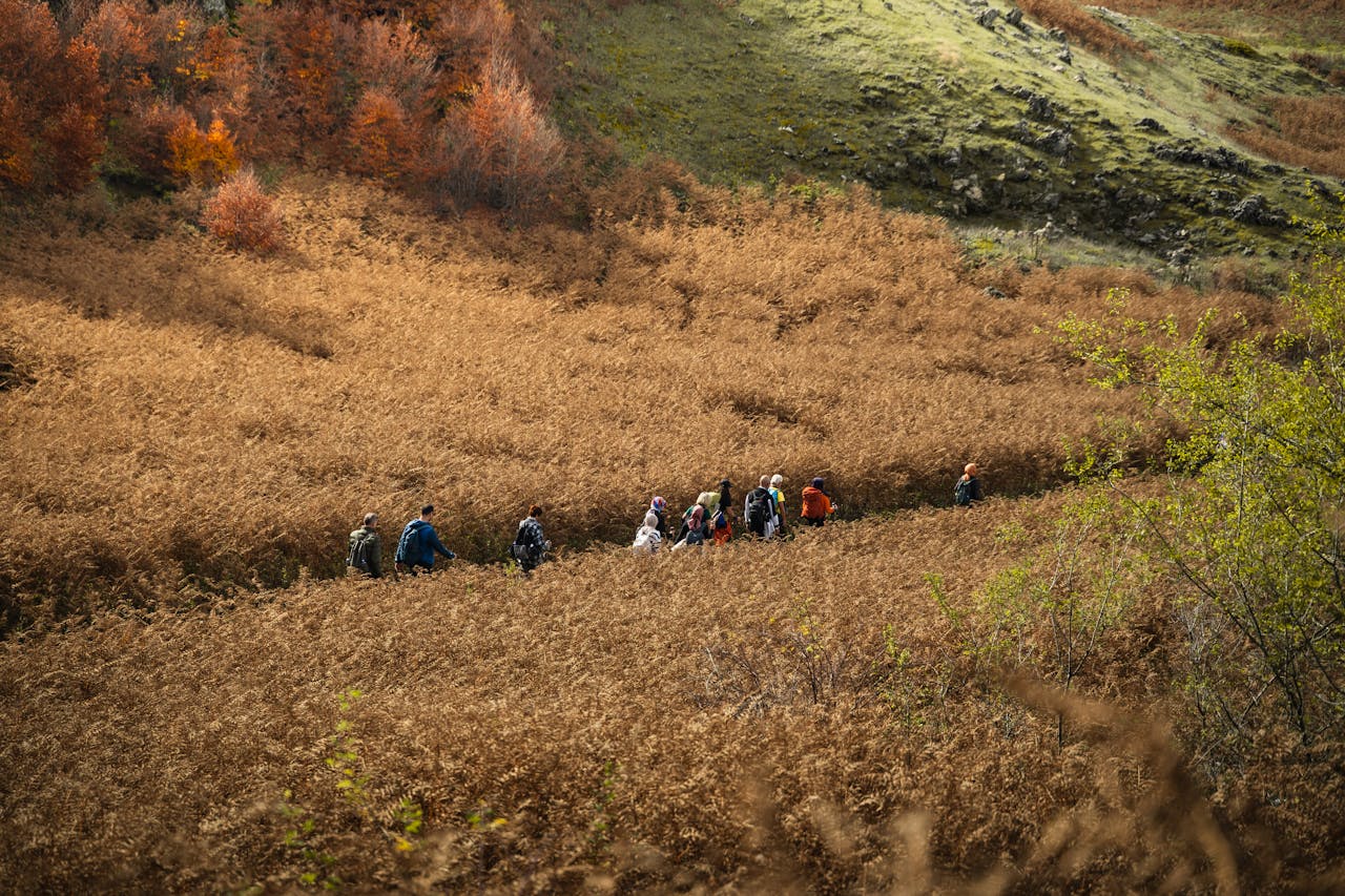 Hikers traverse a picturesque autumn landscape in Domaniç, Kütahya, Türkiye.